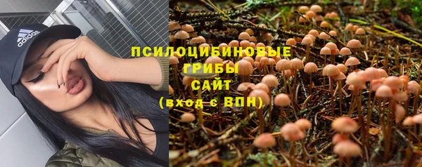 гидра Вяземский