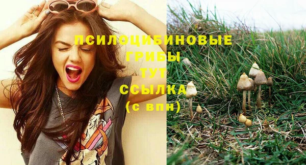 прущая мука Волоколамск