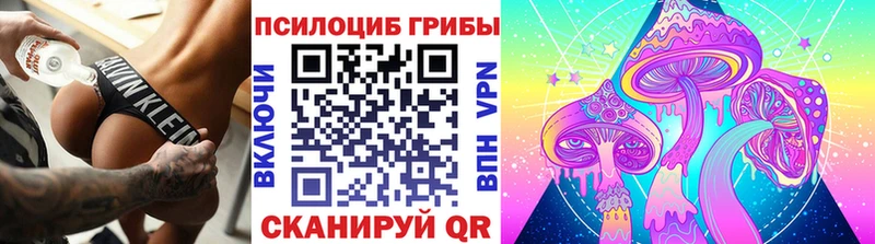 Купить где  Троицк  Галлюциногенные грибы мицелий 